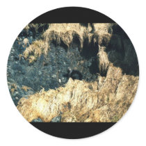 Sea Otter Sticker