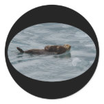 sea otter round stickers