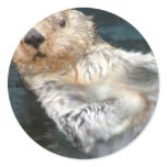 Sea Otter Sticker