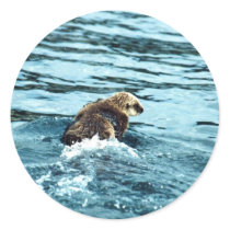 Sea Otter Sticker