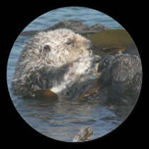 Sea Otter sticker