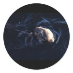 Sea Otter Round Stickers