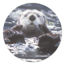 Sea Otter Stickers by orglioness Sea Otter Stickers