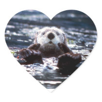 Sea Otter Swimming Stickers