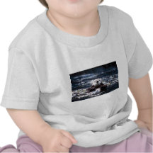 Sea Otter Swimming T-shirts