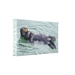 Sea Otter Wrapped Canvas Print