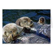 Sea-otters card