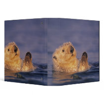 Sea Otters, Enhydra lutris 2 Vinyl Binders