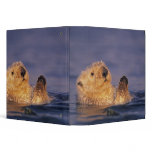 Sea Otters, Enhydra lutris 2 Vinyl Binders