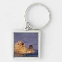 Sea Otters, Enhydra lutris 2 Keychain