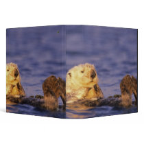 Sea Otters, Enhydra lutris 4 Binders