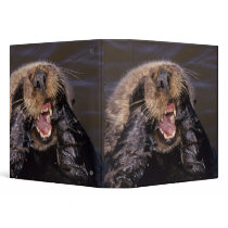 Sea Otters, Enhydra lutris 6 Vinyl Binder
