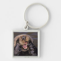 Sea Otters, Enhydra lutris 6 Keychain