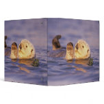 Sea Otters, Enhydra lutris Vinyl Binders