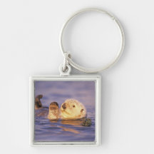 Sea Otters, Enhydra lutris Key Chain