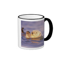 Sea Otters, Enhydra lutris Mug