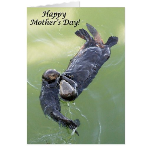 sea-otters-happy-mother-s-day-card-zazzle