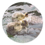 Sea Otters Holding Hands Round Stickers
