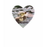 Sea Otters Holding Hands t-shirts