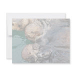 Sea Otters in Capture Pens Custom Invites