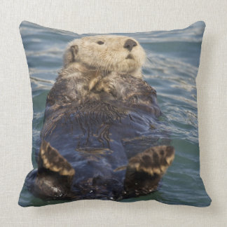 sea otter pillow pet