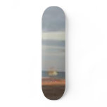 sea palling 2 skate boards
