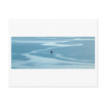 Sea pattern postcards