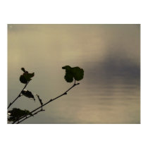 sea reflection posters by neslehcim sea reflection posters