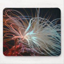 Sea rose mousepads by Yarijik Sea rose mousepads