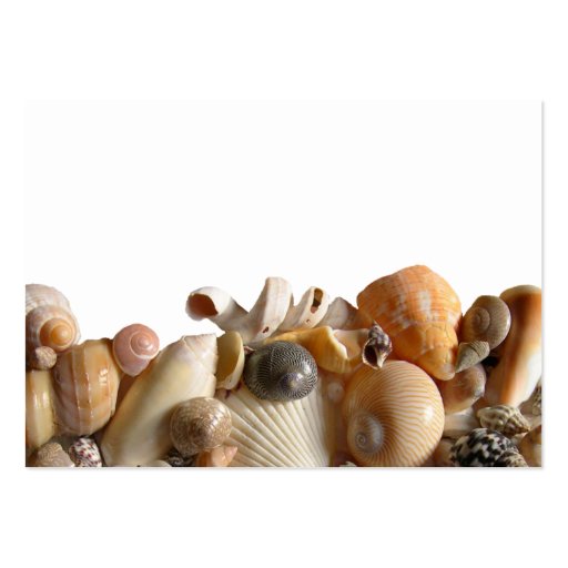 Sea Shell Border Place Cards Business Card Template