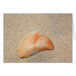 Sea Shell Card