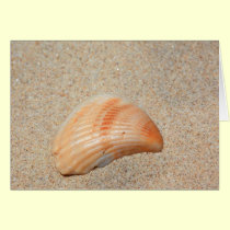 Sea Shell Card