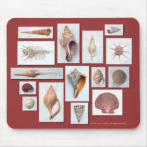 Sea Shell Mouse Pad mousepads by jerryjindrich Sea Shell Mouse Pad mousepads