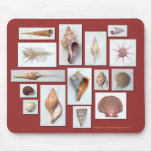 Sea Shell Mouse Pad