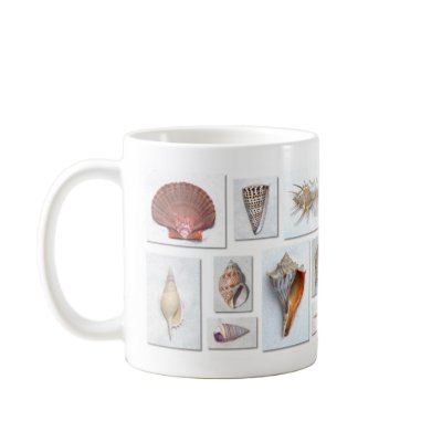 Sea Shell Mug by jerryjindrich