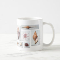Sea Shell Mug by jerryjindrich Sea Shell Mug