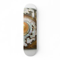 Sea Shell On White Background skateboards