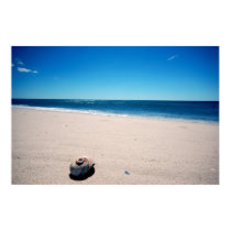 Sea Shell posters by hilory10028 Sea Shell posters