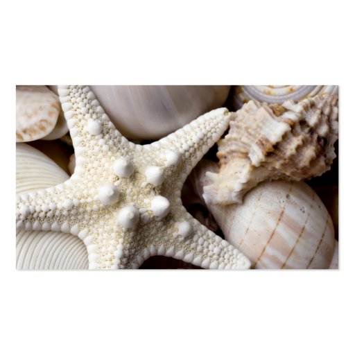 Sea Shell Starfish Background - Beach Shells Business Card Templates (front side)