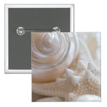 Sea Shell & Starfish Background - Beach Shells Button
