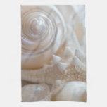 Sea Shell & Starfish Background - Beach Shells Kitchen Towels