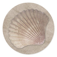 Sea Shell Stickers sticker