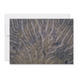 Sea shell, Trinidad Custom Invitations