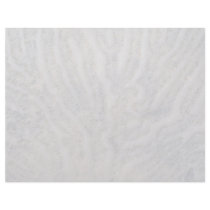 Sea shell, Trinidad Customized Letterhead