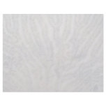 Sea shell, Trinidad Customized Letterhead