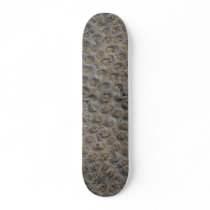 Sea shell, Trinidad Skateboards