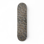Sea shell, Trinidad Skateboards