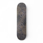 Sea shell, Trinidad Skate Decks