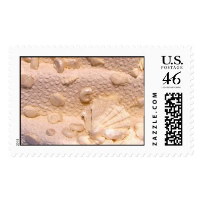 Sea shell wedding cake postage