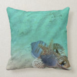 Sea Shells american mojo pillows
